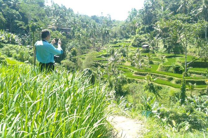 Ubud Rice Terrace Temple and Waterfall Private Guided Tour - Meeting Point and Pick-up Options