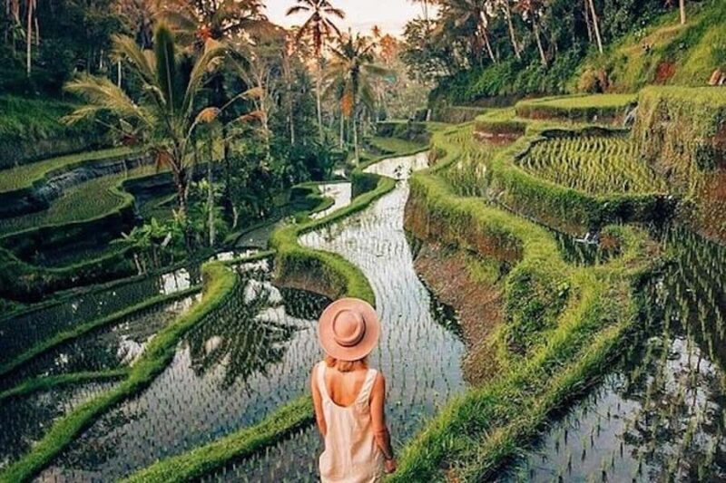 Ubud: Rice Terrace, Waterfall, & Elephant Cave - Authentic Experiences & Insider Tips from Reviewers