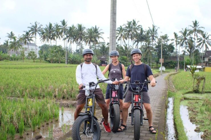 Ubud: Rice Terraces & Villages Half-Day Fat Tire E-Bike Tour - Highlights and Experiences