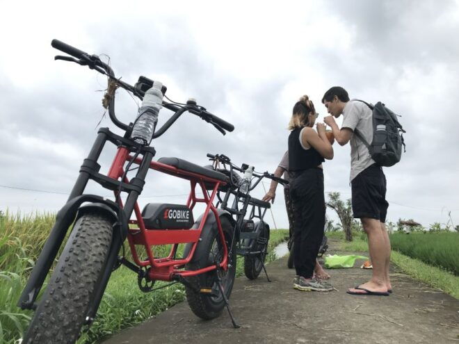 Ubud: Rice Terraces & Villages Half-Day Fat Tire E-Bike Tour - Full Description