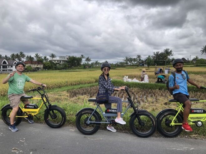 Ubud: Rice Terraces & Villages Half-Day Fat Tire E-Bike Tour - Review Summary