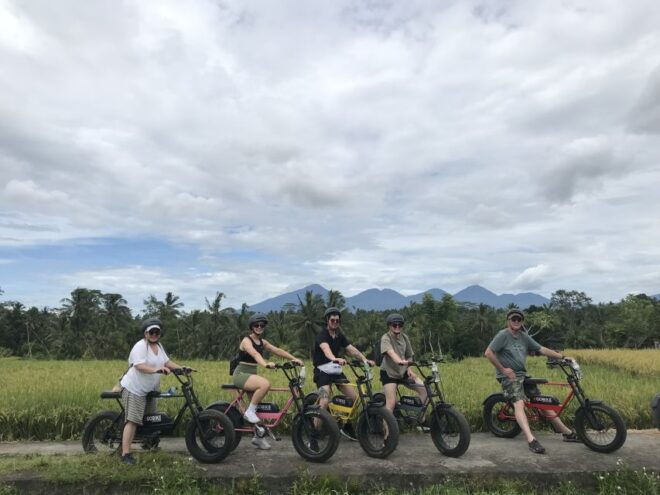 Ubud: Rice Terraces & Villages Half-Day Fat Tire E-Bike Tour - Reviews