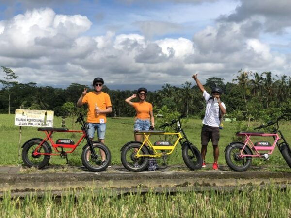 Ubud: Rice Terraces & Villages Half-Day Fat Tire E-Bike Tour - Transportation and Value for Money
