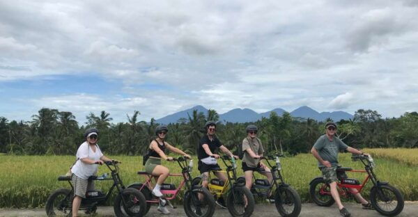 Ubud: Rice Terraces & Villages Half-Day Fat Tire E-Bike Tour - Recommendation and The Sum Up