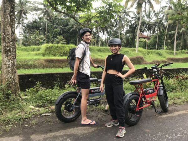 Ubud: Rice Terraces & Villages Half-Day Fat Tire E-Bike Tour - The Sum Up