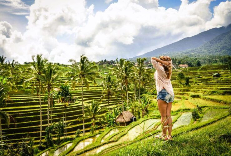 Ubud: Rice Terraces, Waterfall, and Monkey Forest Day Tour - Activity Details