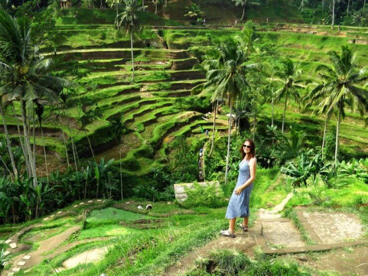 Ubud: Rice Terraces, Waterfall, and Monkey Forest Day Tour - Ubud Rice Terraces