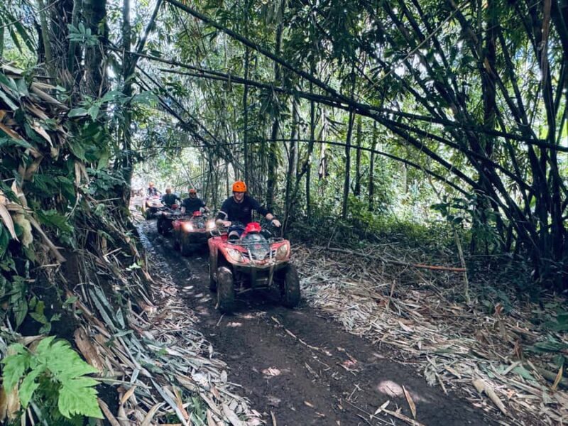 Ubud: River Cave Tubing Adventure & Gorilla ATV Quad Bike - The Sum Up