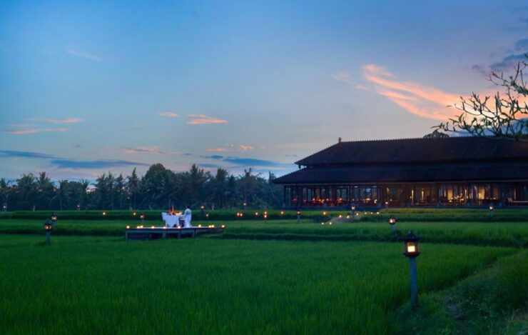 Ubud: Romantic Dinner Among the Rice Fields - Booking Details