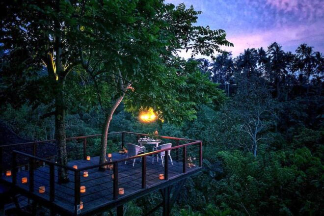 Ubud: Romantic Dinner on a Forest Tree Deck - The Sum Up