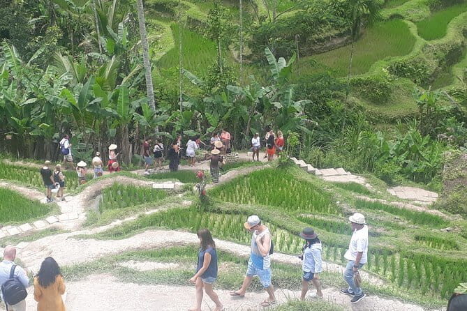 Ubud Romantic Floating Lunch Jungle Swing and Waterfall - An Overview of the Experience