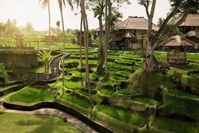 Ubud: Romantic Picnic Lunch on a Boat - Overall Impression