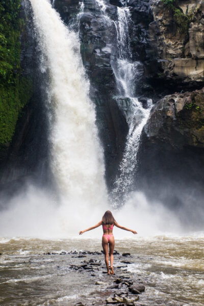 Ubud: Saraswati Temple, Monkey Forest, Art Market, Waterfall - Scenic Tegalalang Rice Terrace