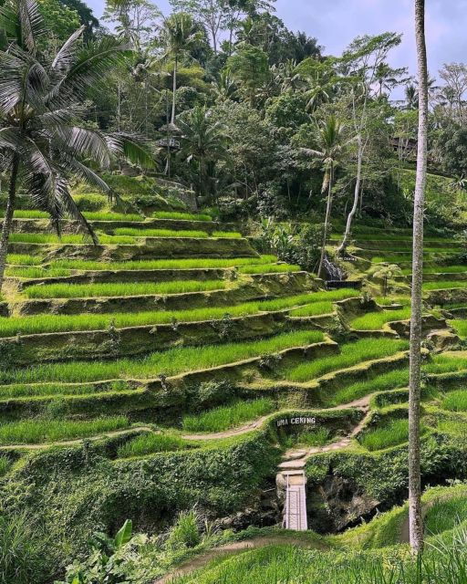 Ubud Scenic Waterfalls, Temple With Coffee - All Inclusive - Tour Experience Overview