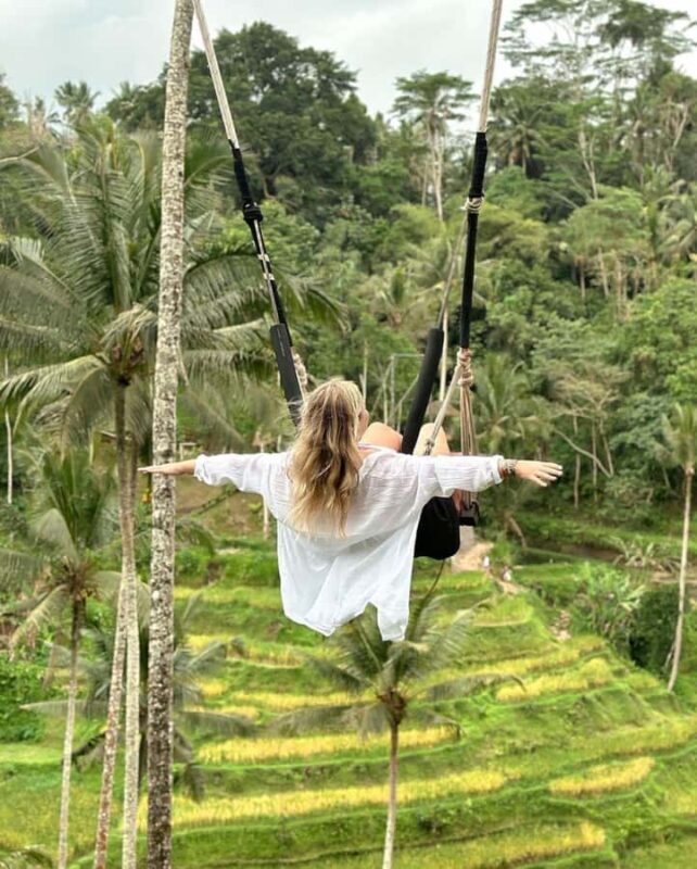 Ubud: Secret Waterfalls and Jungle Swing Private Tour - What makes this tour worth considering