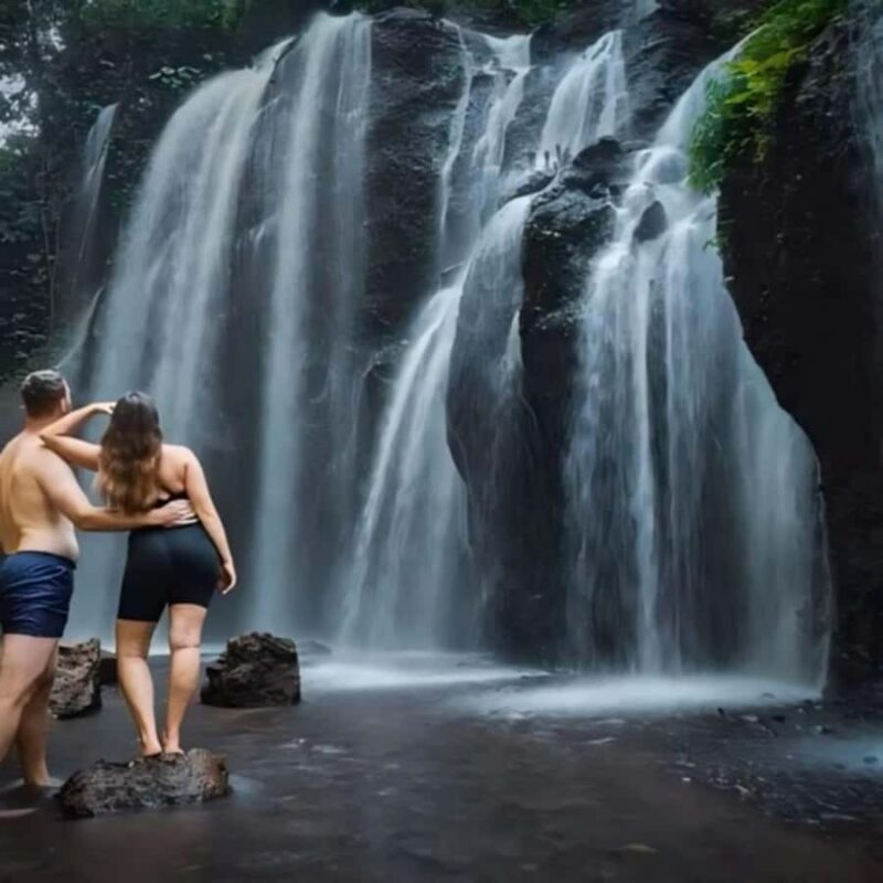 Ubud: Secret Waterfalls and Jungle Swing Private Tour - A detailed look at the itinerary