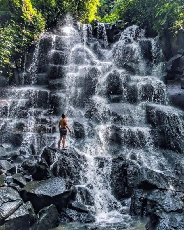Ubud: Secret Waterfalls and Jungle Swing Private Tour - What you get for the price