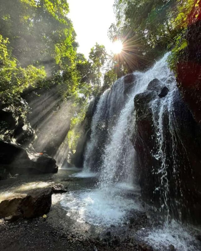 Ubud: Secret Waterfalls and Jungle Swing Private Tour - Practical tips for travelers