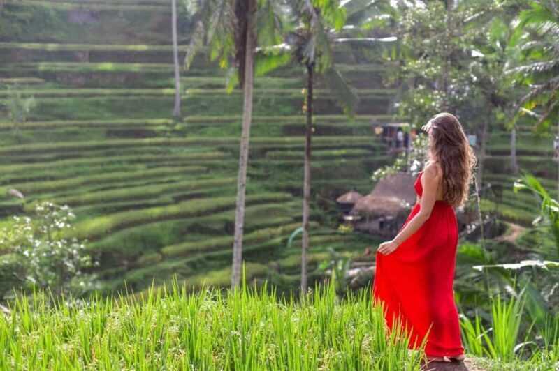 Ubud: Semi-Customized Private Tour with Live Guide - Exploring Ubud’s Highlights: What to Expect