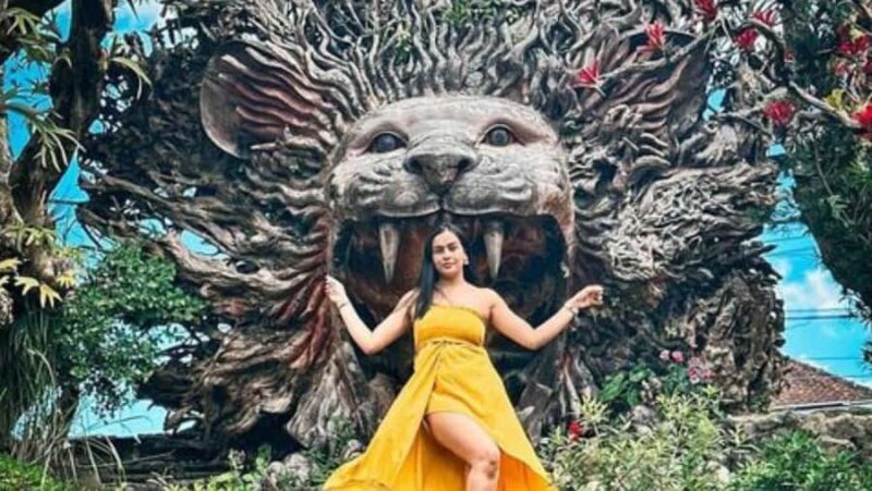 Ubud: Several Ubud Tour Itenarary with Private Driver - Exploring Ubud in Depth: What You Can Expect