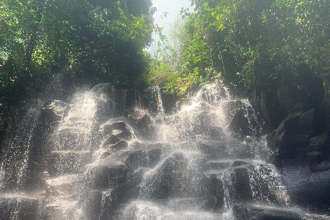 Ubud Shared Tour: Ubud Waterfalls, Tegalalang & Holy Water Temple - What to Expect from the Ubud Waterfalls, Tegalalang & Holy Water Temple Tour