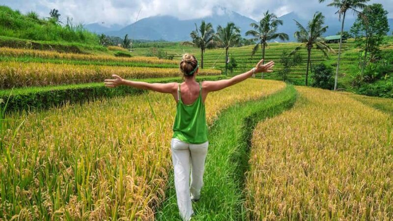 Ubud Silver Experience: Forge Your Personal Keepsake - Who Should Book This Tour?