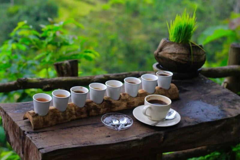 Ubud: Silver Jewelry and Coffee Tasting - What Travelers Say