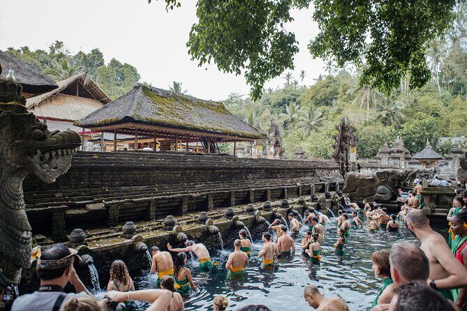 Ubud Small Group Tour: Monkey Forest, Tegalalang Rice Terraces and more - A Deep Dive into the Ubud Tour Experience