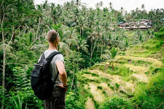 Ubud Small Group Tour: Monkey Forest, Tegalalang Rice Terraces and more - What We Love and What to Watch Out For