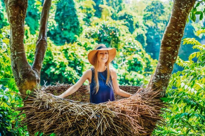 Ubud: Spectacular Waterfalls Tour - Swim in Tibumana Waterfall