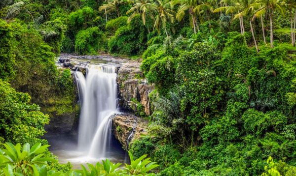 Ubud: Spectacular Waterfalls Tour - Walk to Tukad Cepung Waterfall