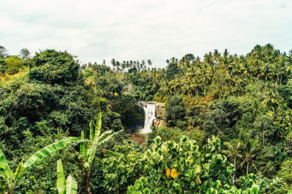 Ubud: Spectacular Waterfalls Tour - The Sum Up