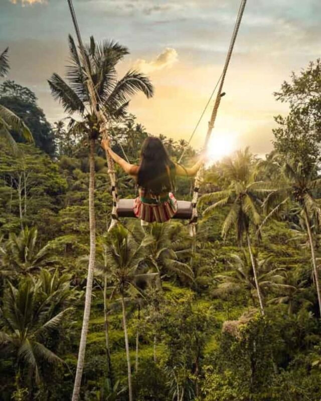 Ubud; Sunrise Cafe, Waterfall & Rice Terrace Private Tour - Pricing & Value  