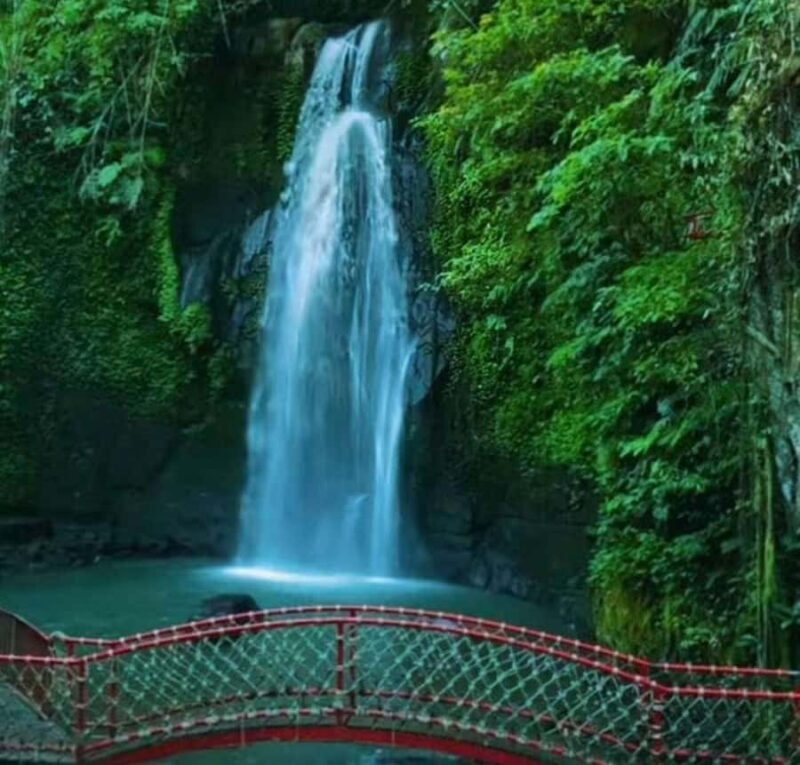 Ubud; Sunrise Cafe, Waterfall & Rice Terrace Private Tour - FAQs  