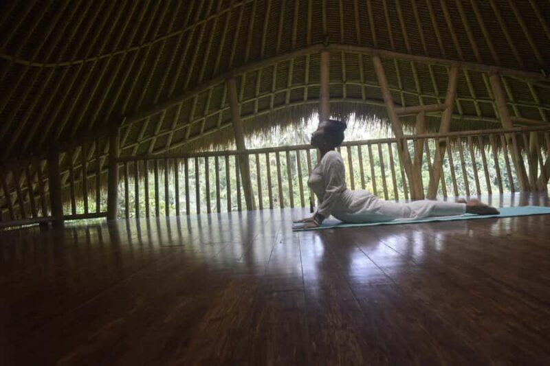Ubud: Sunrise Yoga and Waterfall Blessing - The Sum Up