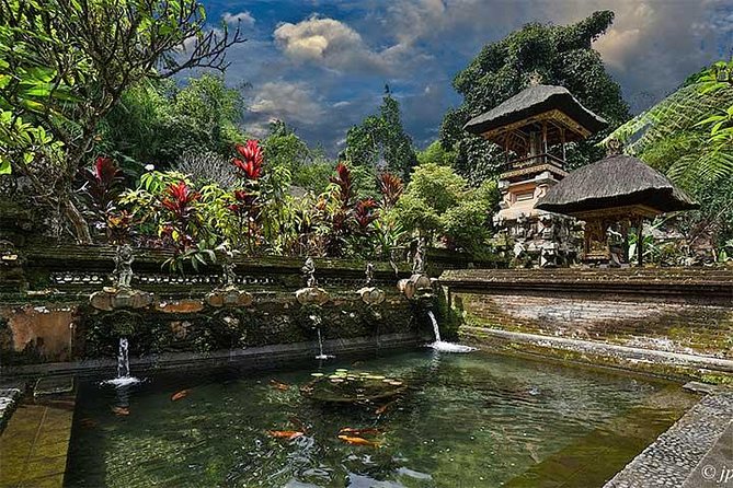 Ubud Swing and Ubud Village Tour - Bali Swing Experience