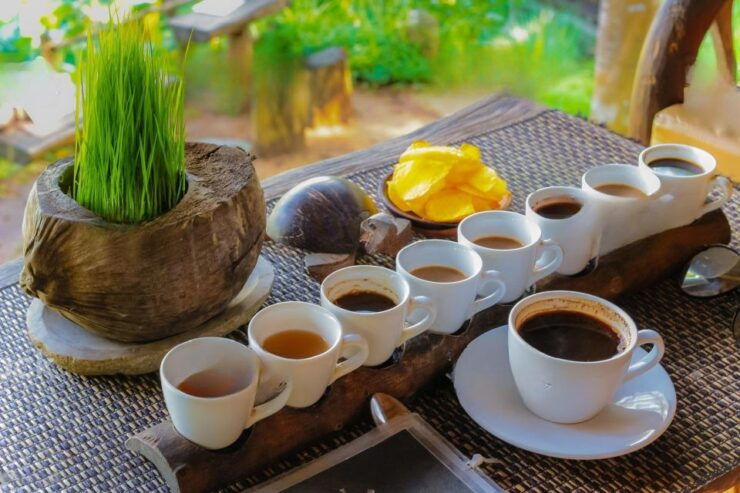 Ubud: Swing, Coffee Plantation, Rice Terrace, and Waterfall - Tour Highlights