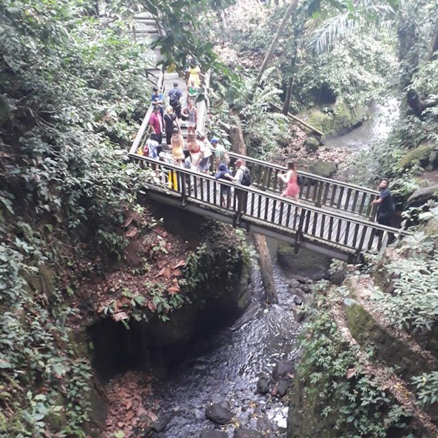 Ubud Swing : Explore Ubud Country Side & Taste of Coffee - Swing Experience
