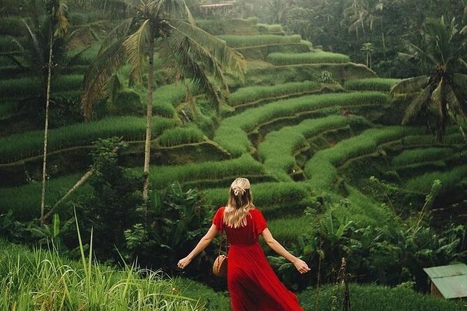 Ubud: Swing - Monkey Forest - Waterfall - Temple - Rice Terraces - Art Crafts - Swing