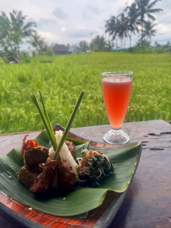 Ubud: Taro Village Firefly Excursion with a Vegetarian Meal - Authentic Insights from Previous Travelers