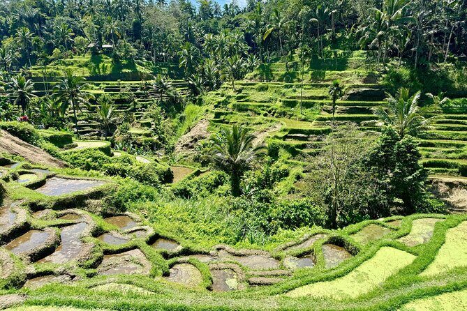 Ubud Tegalalang Private Car Tour - FAQ
