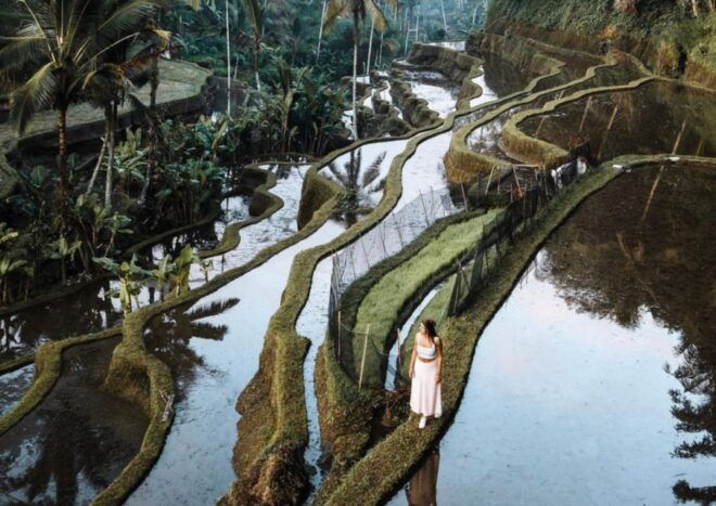 Ubud: Tegalalang Rice Terrace Photos Tour With Swing Ticket - Full Description