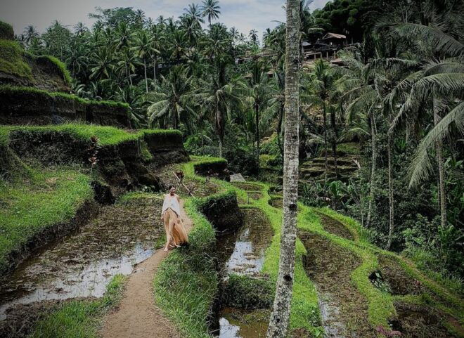 Ubud: Tegalalang Rice Terrace Photos Tour With Swing Ticket - Customer Reviews