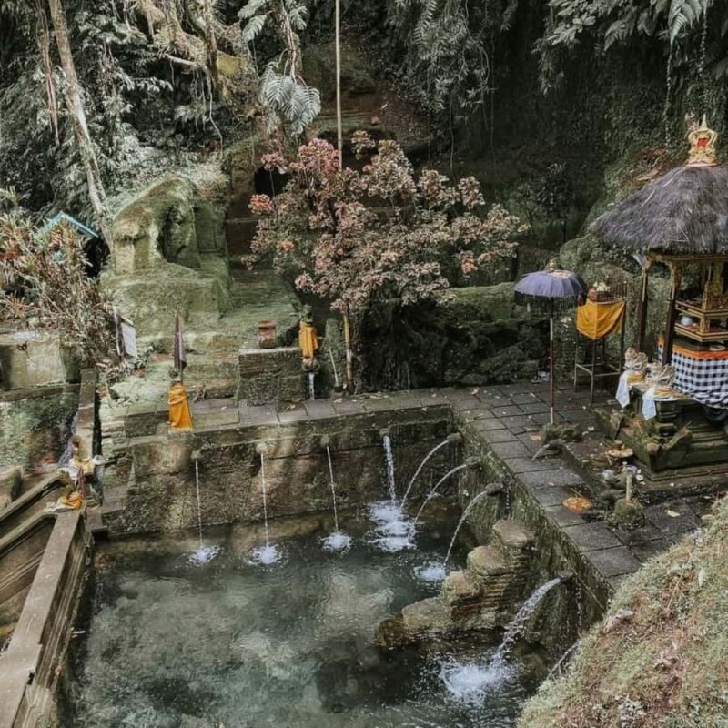 Ubud: Telaga Waja Temple, Waterfalls- Mancingan Rice Terrace - Good To Know