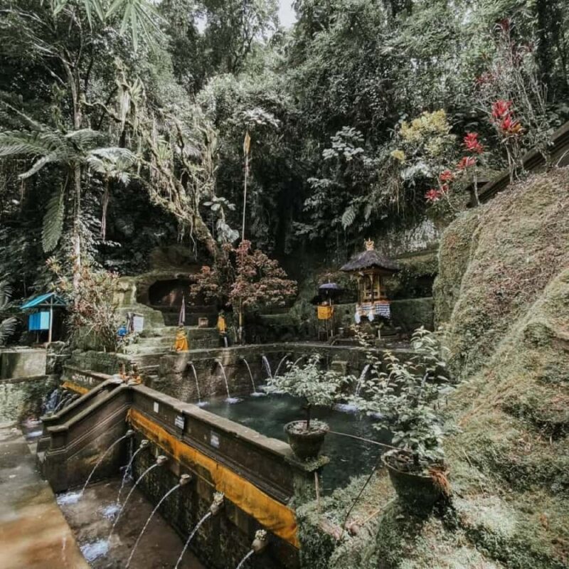 Ubud: Telaga Waja Temple, Waterfalls- Mancingan Rice Terrace - Final Thoughts