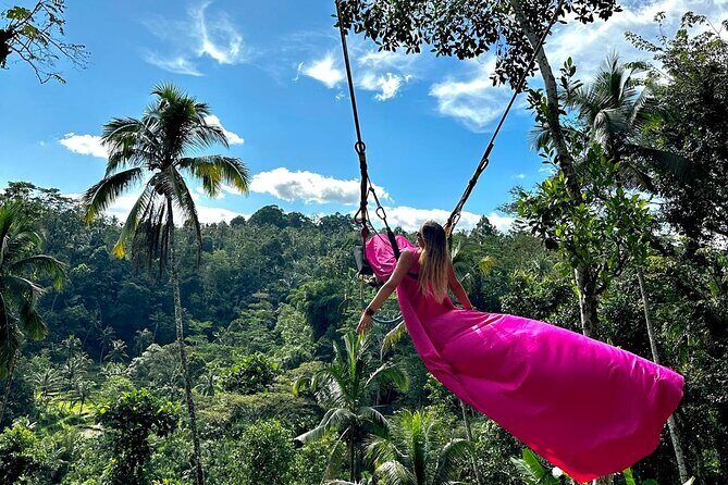 UBUD : Temple and Waterfall All Inclusive Day Tour - Who Will Enjoy This Tour?