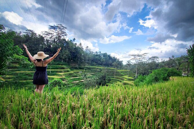 UBUD : Temple and Waterfall All Inclusive Day Tour - The Sum Up