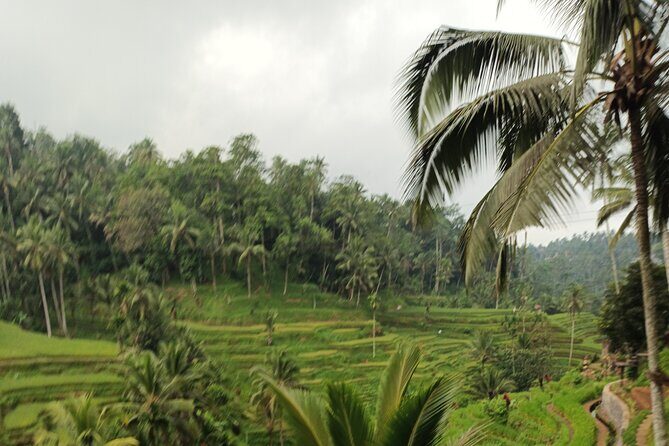 UBUD : Temple and Waterfall All Inclusive Day Tour - FAQ