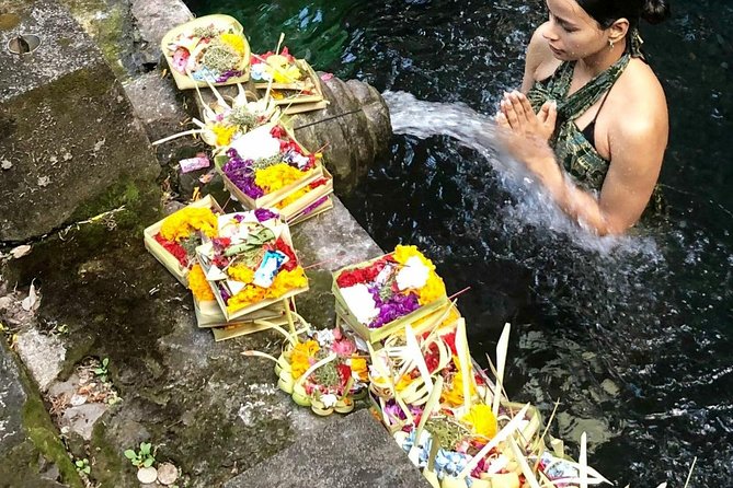 Ubud Temple Tour & Purification and Rice Terrace - Tour Highlights