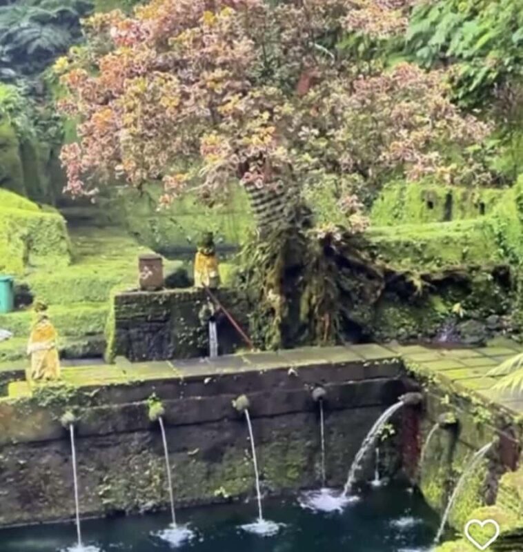 Ubud-Tgll: Telaga Waja Kenderan and Manuaba Waterfall Tour - Ubud-Tgll: Telaga Waja Kenderan and Manuaba Waterfall Tour – A Deep Dive into Bali’s Hidden Natural Gems